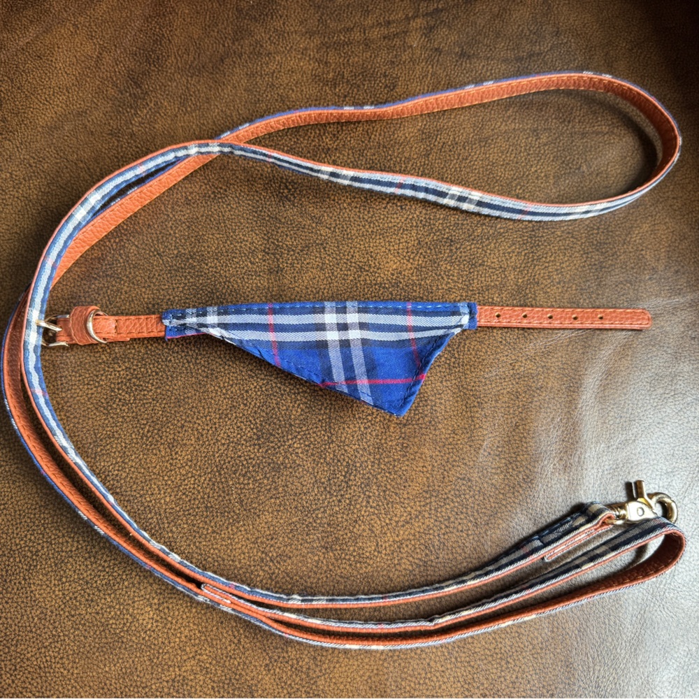 XS Plaid Bandana Collar with Leash
